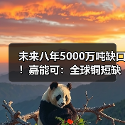 未来八年5000万吨缺口!嘉能可:全球铜短缺将非同寻常(图2) 未来八年5000万吨缺口!嘉能可:全球铜短缺将非同寻常(图2)