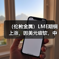 (伦敦金属)LME期铜上涨,因美元疲软,中国需求前景改善(图2) (伦敦金属)LME期铜上涨,因美元疲软,中国需求前景改善(图2)