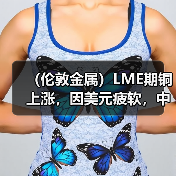 (伦敦金属)LME期铜上涨,因美元疲软,中国需求前景改善(图3) (伦敦金属)LME期铜上涨,因美元疲软,中国需求前景改善(图3)
