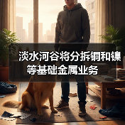 淡水河谷将分拆铜和镍等基础金属业务(图3) 淡水河谷将分拆铜和镍等基础金属业务(图3)