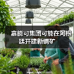 嘉能可集团可能在阿根廷开建新铜矿