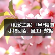 （伦敦金属）LME期铜小幅回落，因工厂数据不景气