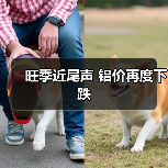 旺季近尾声 铝价再度下跌(图2) 旺季近尾声 铝价再度下跌(图2)