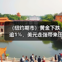 (纽约期市)黄金下跌逾1%,美元走强带来压力(图3) (纽约期市)黄金下跌逾1%,美元走强带来压力(图3)