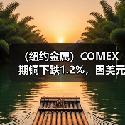 (纽约金属)COMEX期铜下跌1.2%,因美元上涨(图2) (纽约金属)COMEX期铜下跌1.2%,因美元上涨(图2)