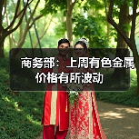 商务部:上周有色金属价格有所波动(图4) 商务部:上周有色金属价格有所波动(图4)