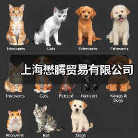 上海懋腾贸易有限公司（图4）