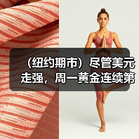 （纽约期市）尽管美元走强，周一黄金连续第三日上涨（图3）