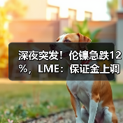 深夜突发！伦镍急跌12%，LME：保证金上调28%！特朗普正式参选，拜登迅速回应