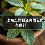 上海友同物资有限公司(有色部）（图4）