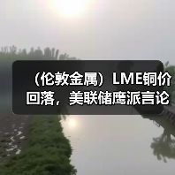 （伦敦金属）LME铜价回落，美联储鹰派言论令美元走强