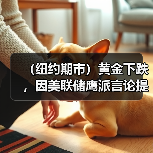 （纽约期市）黄金下跌，因美联储鹰派言论提振美元上涨