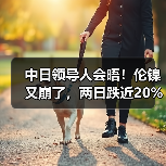 中日领导人会晤！伦镍又崩了，两日跌近20%！英国“放大招”：加税140亿英镑！