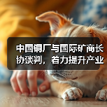 中国铜厂与国际矿商长协谈判，着力提升产业议价优势