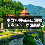 中国10月铝进口量同比下降34%,原因是供应增加,需求疲软(图2) 中国10月铝进口量同比下降34%,原因是供应增加,需求疲软(图2)