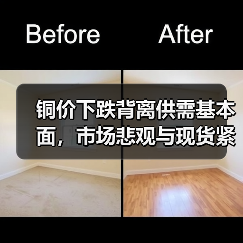 铜价下跌背离供需基本面,市场悲观与现货紧张矛盾凸显(图3) 铜价下跌背离供需基本面,市场悲观与现货紧张矛盾凸显(图3)