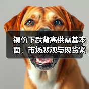 铜价下跌背离供需基本面,市场悲观与现货紧张矛盾凸显(图2) 铜价下跌背离供需基本面,市场悲观与现货紧张矛盾凸显(图2)