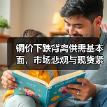 铜价下跌背离供需基本面，市场悲观与现货紧张矛盾凸显