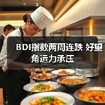 BDI指数两周连跌 好望角运力承压