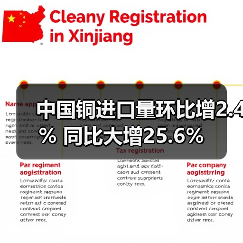 中国铜进口量环比增2.4% 同比大增25.6%(图3) 中国铜进口量环比增2.4% 同比大增25.6%(图3)