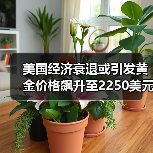 美国经济衰退或引发黄金价格飙升至2250美元