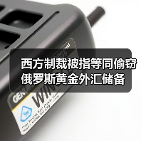 西方制裁被指等同偷窃俄罗斯黄金外汇储备(图3) 西方制裁被指等同偷窃俄罗斯黄金外汇储备(图3)