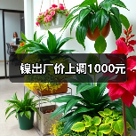 镍出厂价上调1000元
