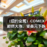 (纽约金属)COMEX期铜大涨,受美元下跌提振(图3) (纽约金属)COMEX期铜大涨,受美元下跌提振(图3)