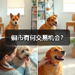 铜市有何交易机会?(图4) 铜市有何交易机会?(图4)