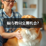 铜市有何交易机会?(图2) 铜市有何交易机会?(图2)