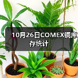 10月26日COMEX铜库存统计（图4）