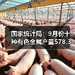 国家统计局:9月份十种有色金属产量578.3万吨,同比增长8.8%(图3) 国家统计局:9月份十种有色金属产量578.3万吨,同比增长8.8%(图3)