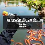 短期金银或仍隐含反弹趋势（图3）