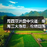 周四亚洲盘中快递:继周三大涨后,伦铜回落(图3) 周四亚洲盘中快递:继周三大涨后,伦铜回落(图3)