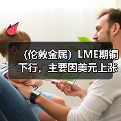 (伦敦金属)LME期铜下行,主要因美元上涨(图4) (伦敦金属)LME期铜下行,主要因美元上涨(图4)