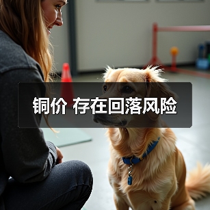 铜价 存在回落风险(图4) 铜价 存在回落风险(图4)