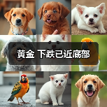 黄金 下跌已近底部(图3) 黄金 下跌已近底部(图3)