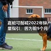 嘉能可削减2022年锌产量指引,因为前9个月内产量下降18%(图3) 嘉能可削减2022年锌产量指引,因为前9个月内产量下降18%(图3)