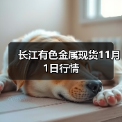 长江有色金属现货11月1日行情(图4) 长江有色金属现货11月1日行情(图4)