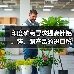 印度矿商寻求提高针铝、锌、铜产品的进口税,主要针对中国(图4) 印度矿商寻求提高针铝、锌、铜产品的进口税,主要针对中国(图4)
