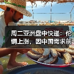 周二亚洲盘中快递：伦铜上涨，因中国需求前景改善（图2）
