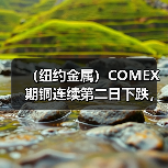 (纽约金属)COMEX期铜连续第二日下跌,基准合约收低0.4%(图4) (纽约金属)COMEX期铜连续第二日下跌,基准合约收低0.4%(图4)