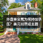 外盘贵金属为何持续承压？美元加息成主因（图1）