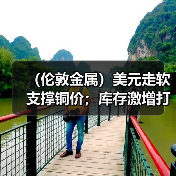（伦敦金属）美元走软支撑铜价；库存激增打压铝价下跌（图2）