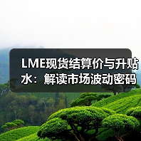LME现货结算价与升贴水：解读市场波动密码（图1）