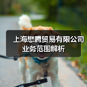 上海懋腾贸易有限公司业务范围解析（图1）