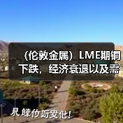 (伦敦金属)LME期铜下跌,经济衰退以及需求前景担忧(图3) (伦敦金属)LME期铜下跌,经济衰退以及需求前景担忧(图3)