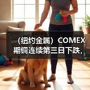 (纽约金属)COMEX期铜连续第三日下跌,铜价收低1.6%(图3) (纽约金属)COMEX期铜连续第三日下跌,铜价收低1.6%(图3)