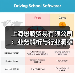 上海懋腾贸易有限公司：业务解析与行业洞察（图3）