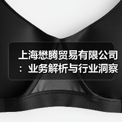 上海懋腾贸易有限公司：业务解析与行业洞察（图4）